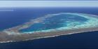 Llewellyn Reef - QLD (PBH4 00 18381)